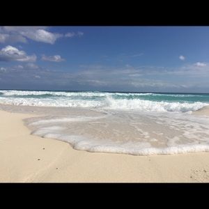 Meet your Posher, Bella